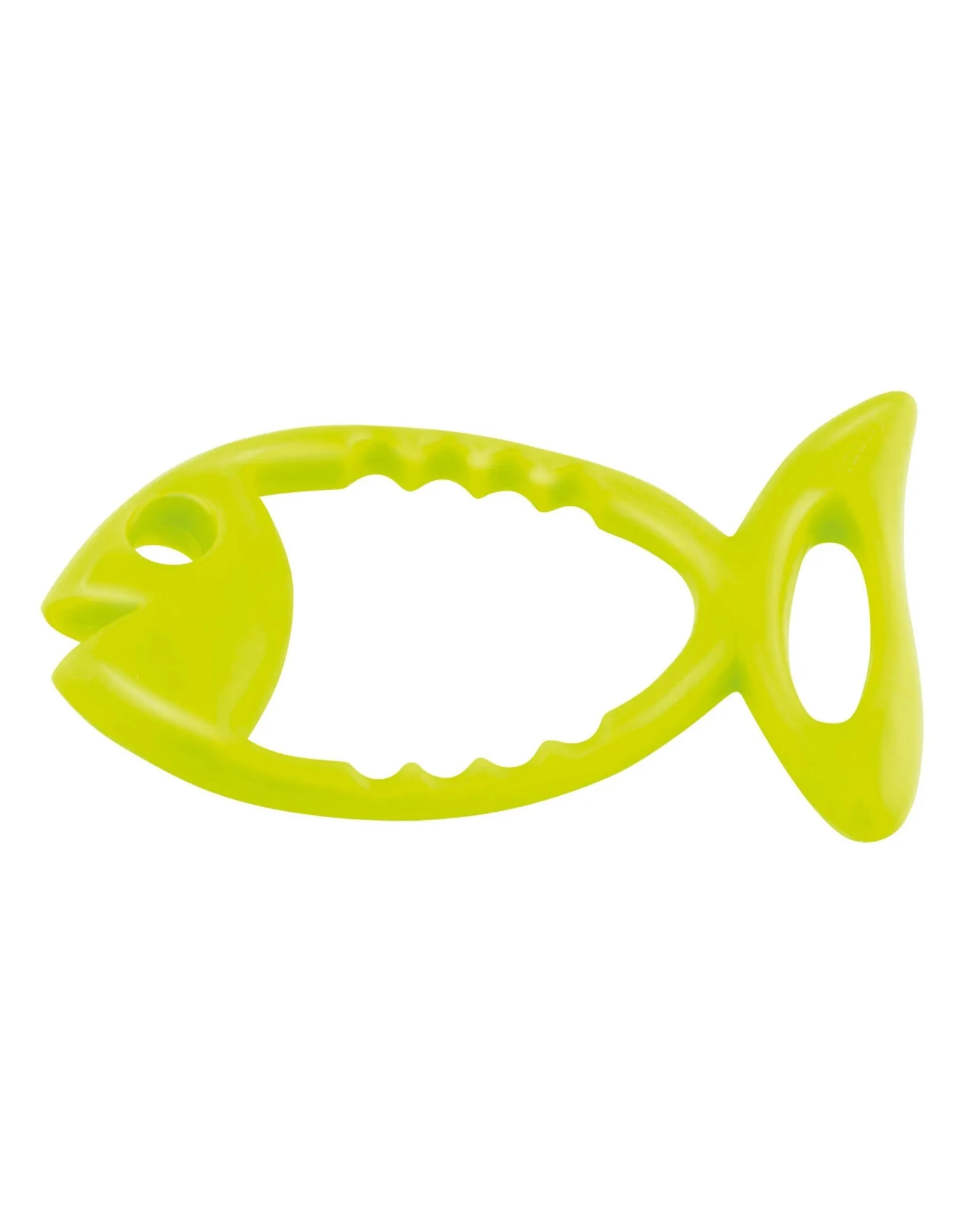 Fish Swimming Diving Ring