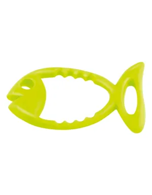 Fish Swimming Diving Ring