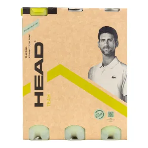 Head Team Tennis Balls - 1 Dozen