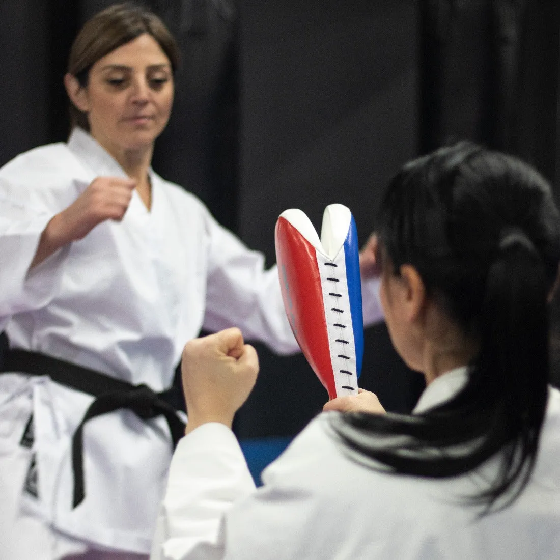 Taekwondo Clapper Target Smai